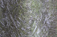 Kilburn fibreglass roof work